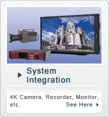 System Integration
